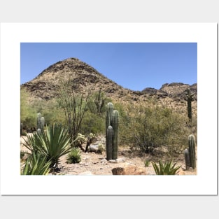 Arizona desert Posters and Art